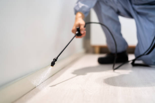 Licensed Fumigation Services service in Seven Corners, VA - Nex Pest Control