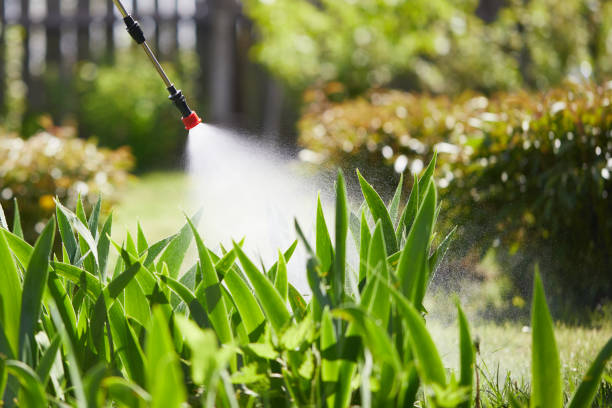 24/7 Emergency Fumigation Services experts in Seven Corners, VA