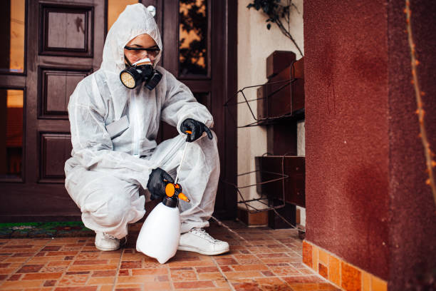 Reliable Fumigation Services contractor in Seven Corners, VA by Nex Pest Control