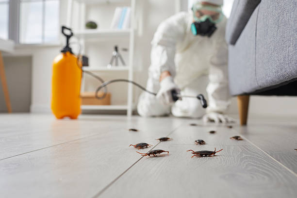 Trusted Termite Control service in Seven Corners, VA - Nex Pest Control