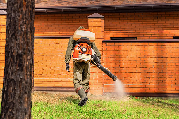 Trusted Bed Bug Control service in Seven Corners, VA - Nex Pest Control
